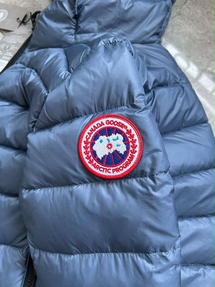 Canada goose crofton