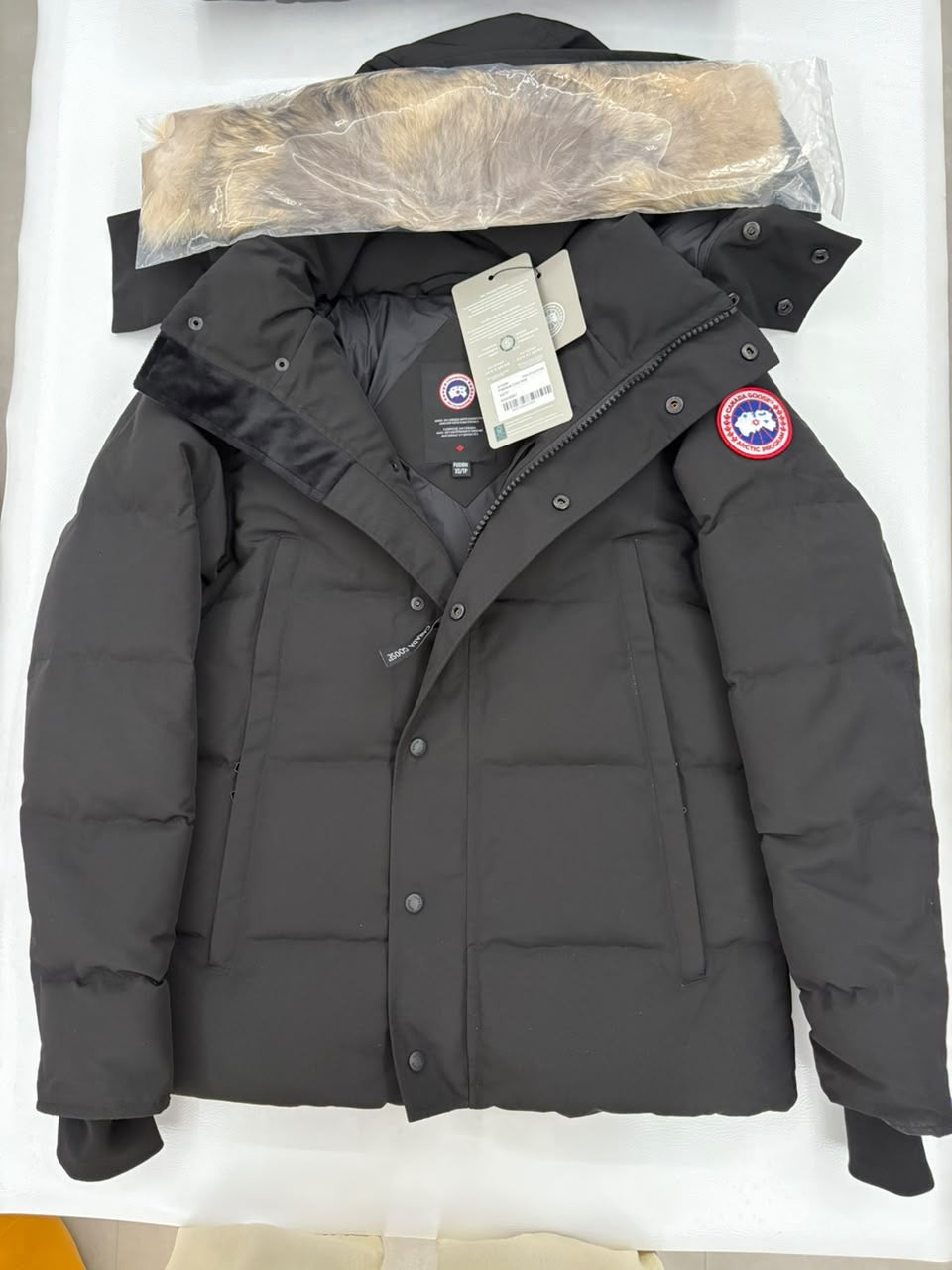 Canada goose wyndham
