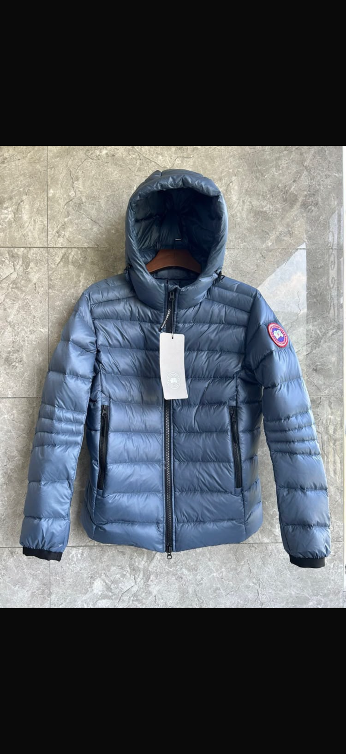 Canada goose crofton